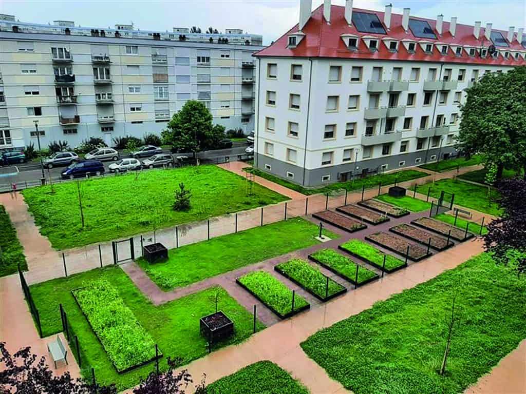 rénovation des espaces extérieurs de la cité Reuss à Strasbourg, par Ophéa